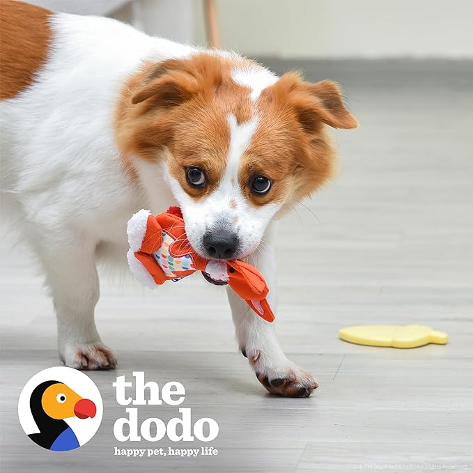 The Dodo Ardilla y Bellota Juguetes para Perros 2 Piezas miniatura 2