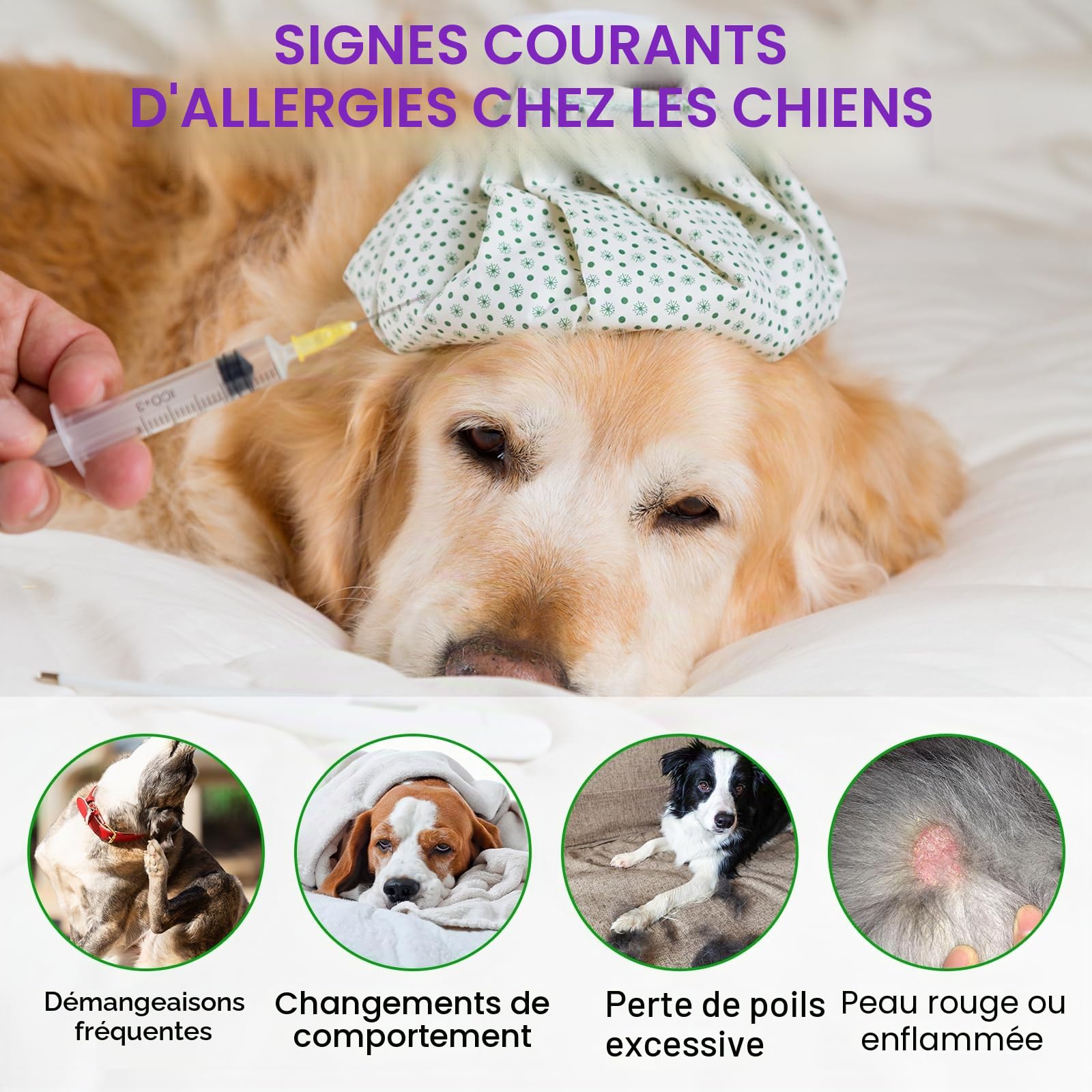 Comprimés à Mâcher pour Chiens Contre Les Allergies, Soulage Les Démangeaisons Cutanées, Renforcent l'immunité, Soulagent Les Allergies Saisonnières et Favorisent Une Peau et Un Pelage Sains, 150pc