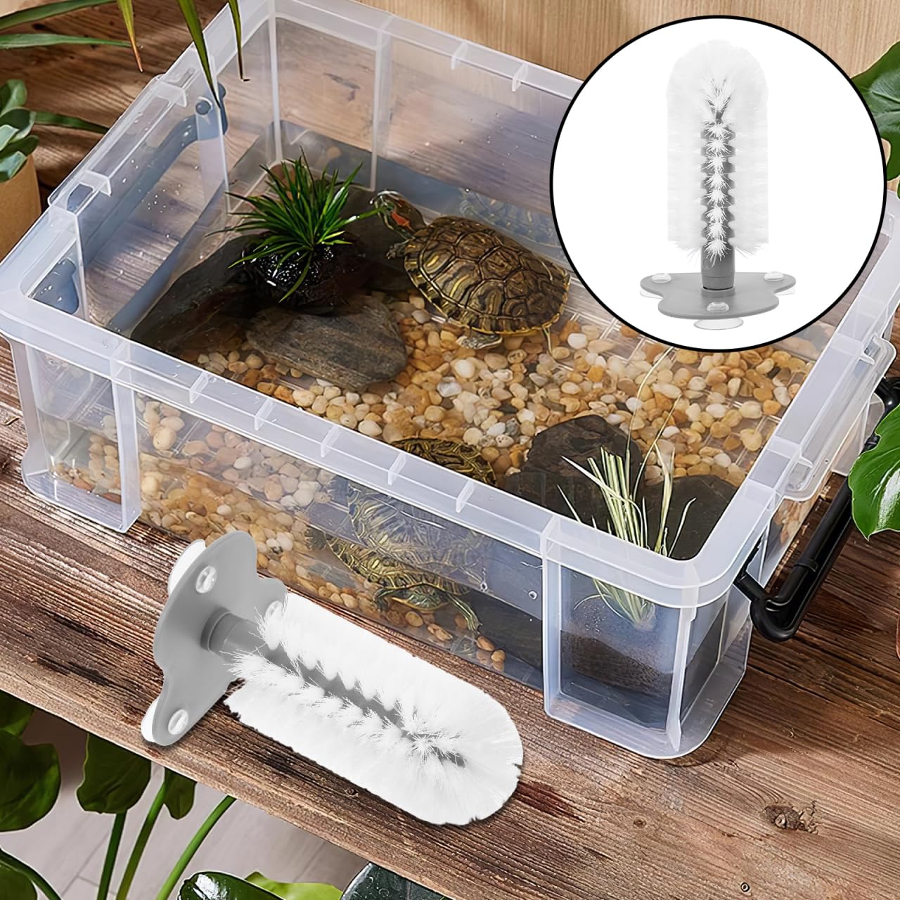 Spazzola per la pulizia delle tartarughe con ventosa forte, spazzola multifunzione per la pulizia della schiena e massaggio per sane tartarughe, design innovativo con setole