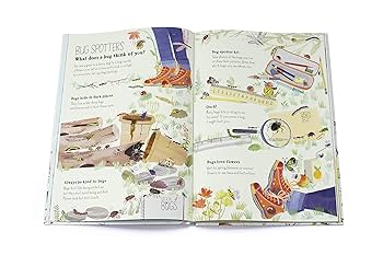 Amazon | The Big Book of Bugs | Zommer, Yuval | Diseases