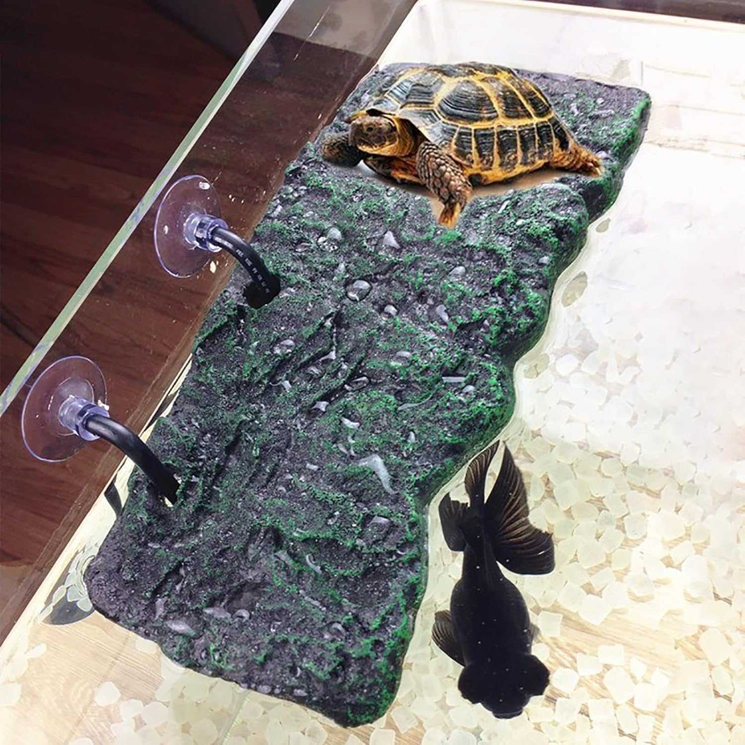 Minidiva Turtle Basking Platform Resting Terrace Aquarium Ornament (Turtle Load Bearing <150g)