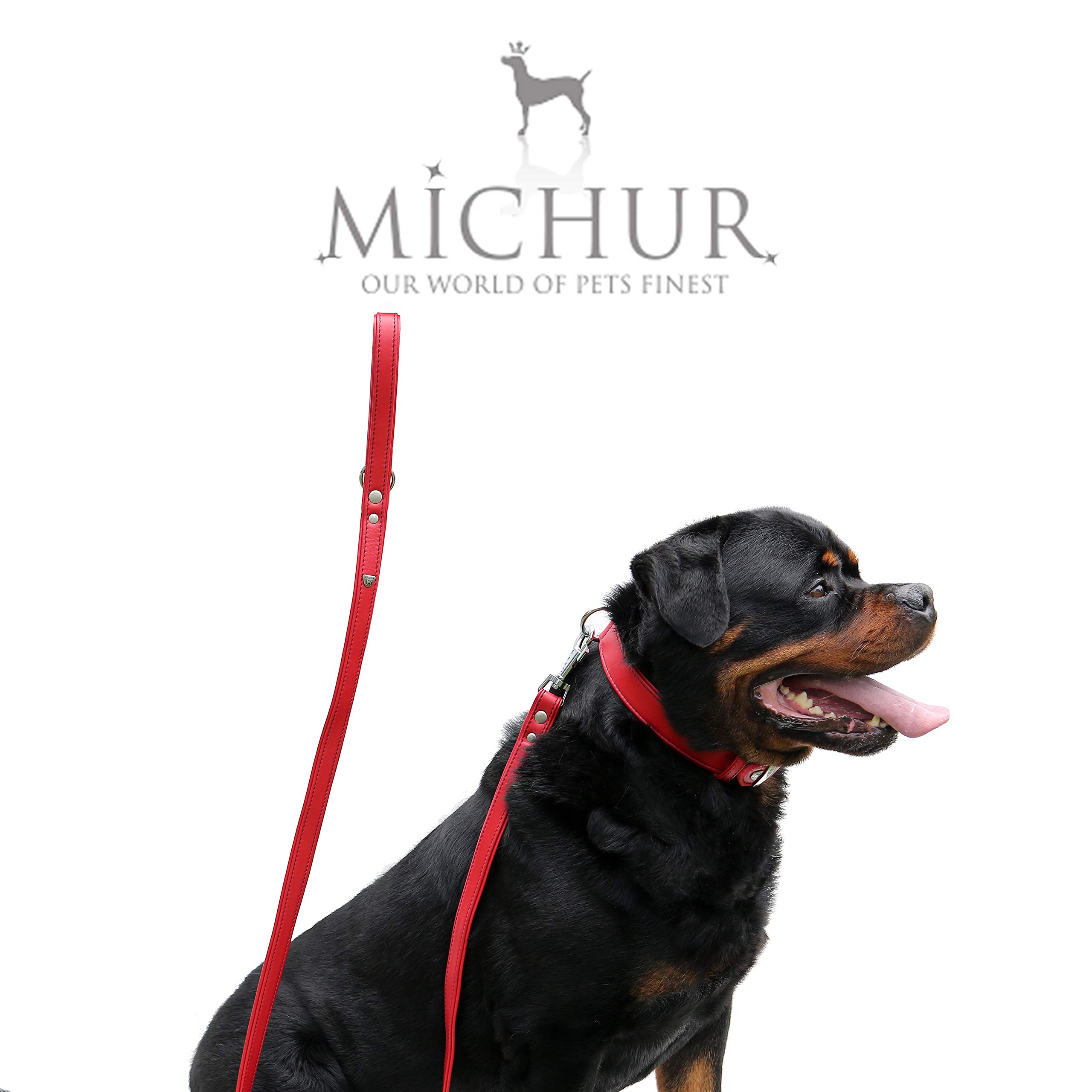MICHUR Classica Hundeleine, Leder, Rot | Lederleine Hund, Passend zum Halsband Classica, Rot, Leder