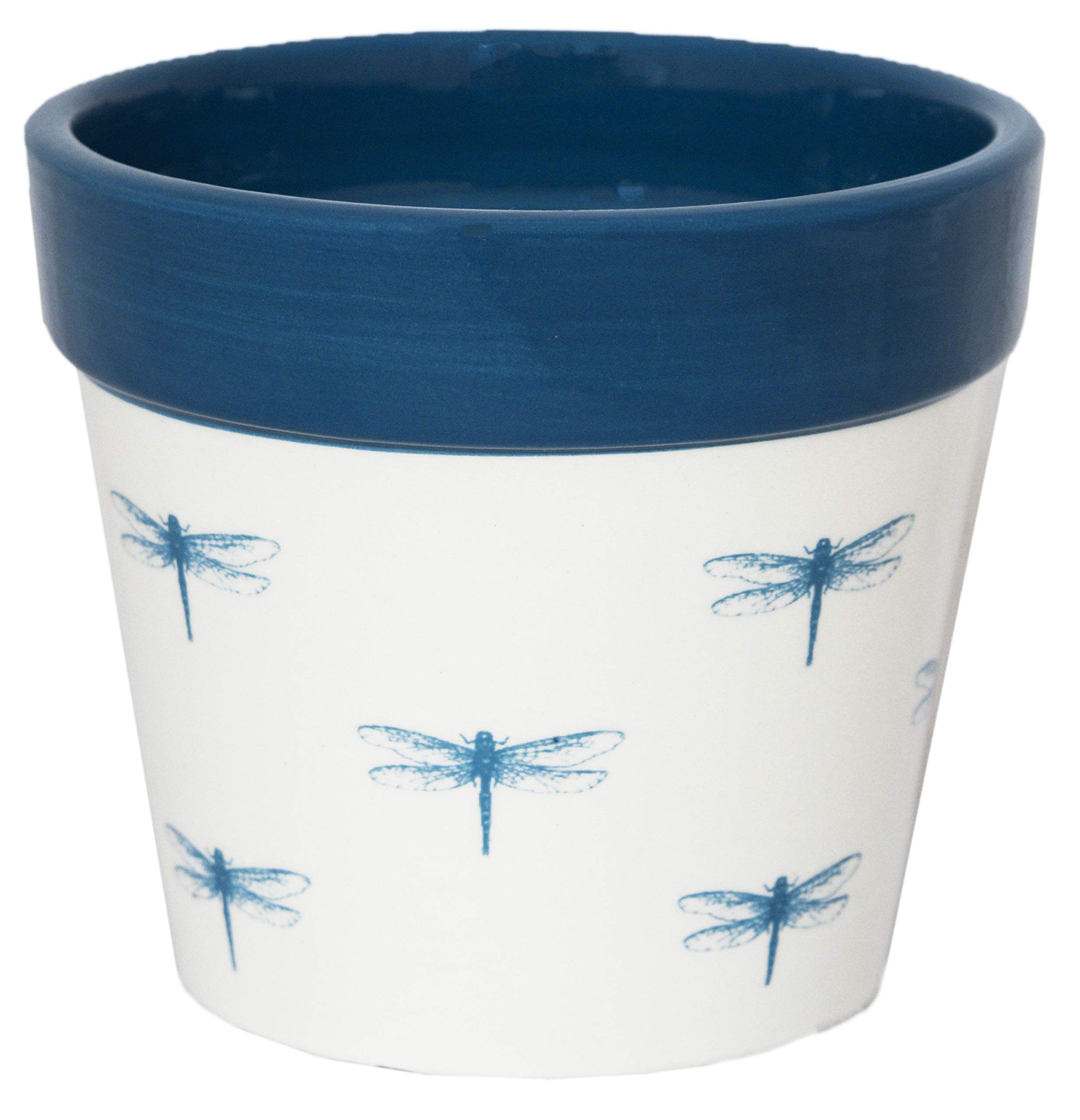 Ivyline Cacti Planter Dragonfly 13cm D13Cm