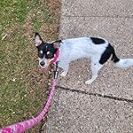 Review Image by Ryan McKenna Ryan McKenna