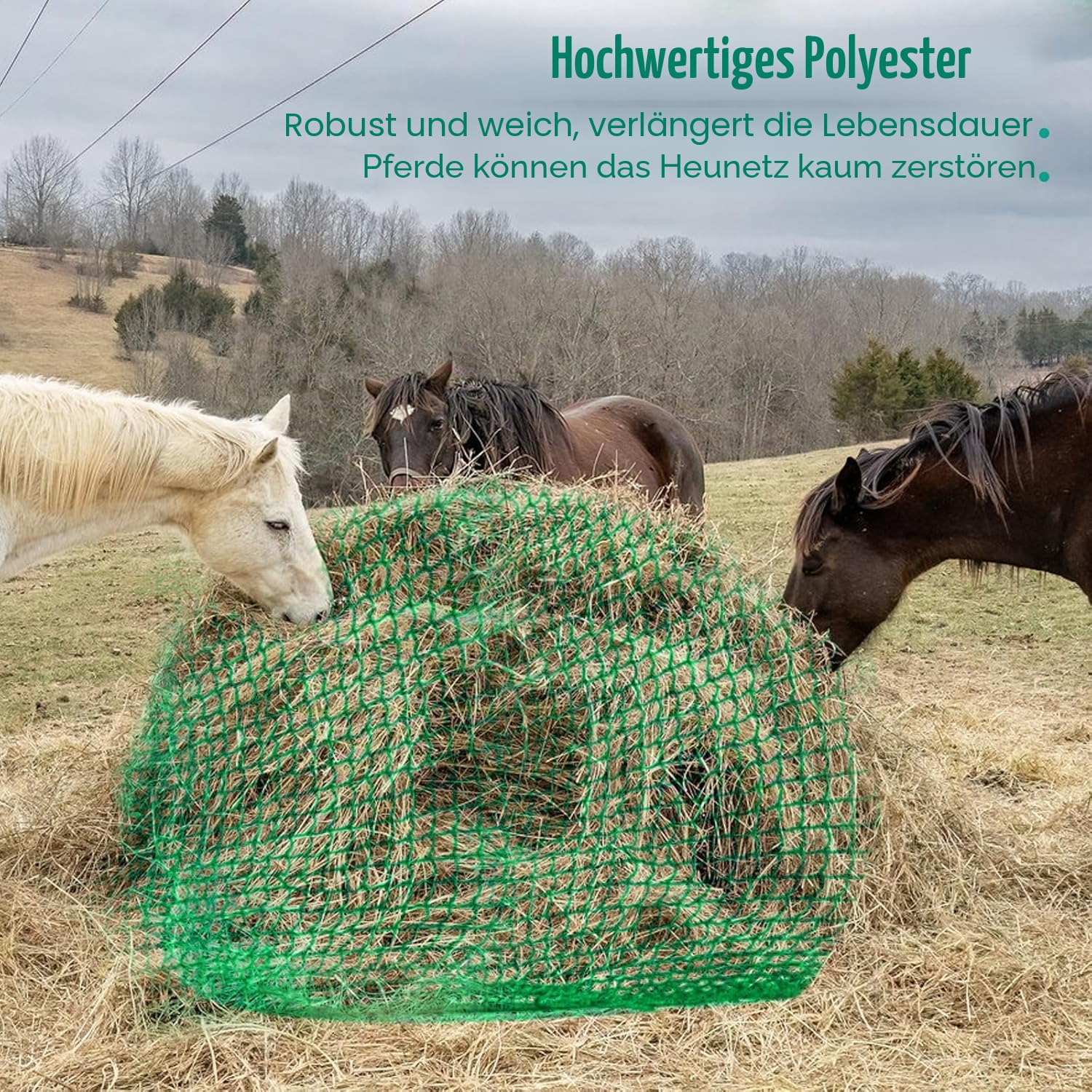 Heunetz für Rundballen, ø 180 cm Heunetz für Pferde Rundballen, Maschenweite 4,5 x 4,5cm, Engmaschiges Futternetz für Pferde Verlängerung der Fresszeiten (Grün, ø 180cm)