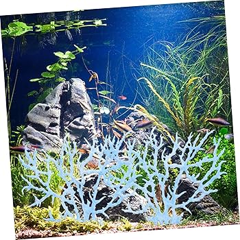 新品】天然珊瑚サンゴ 剥製 タツノオトシゴ 貝殻 ヒトデ 2kg以上