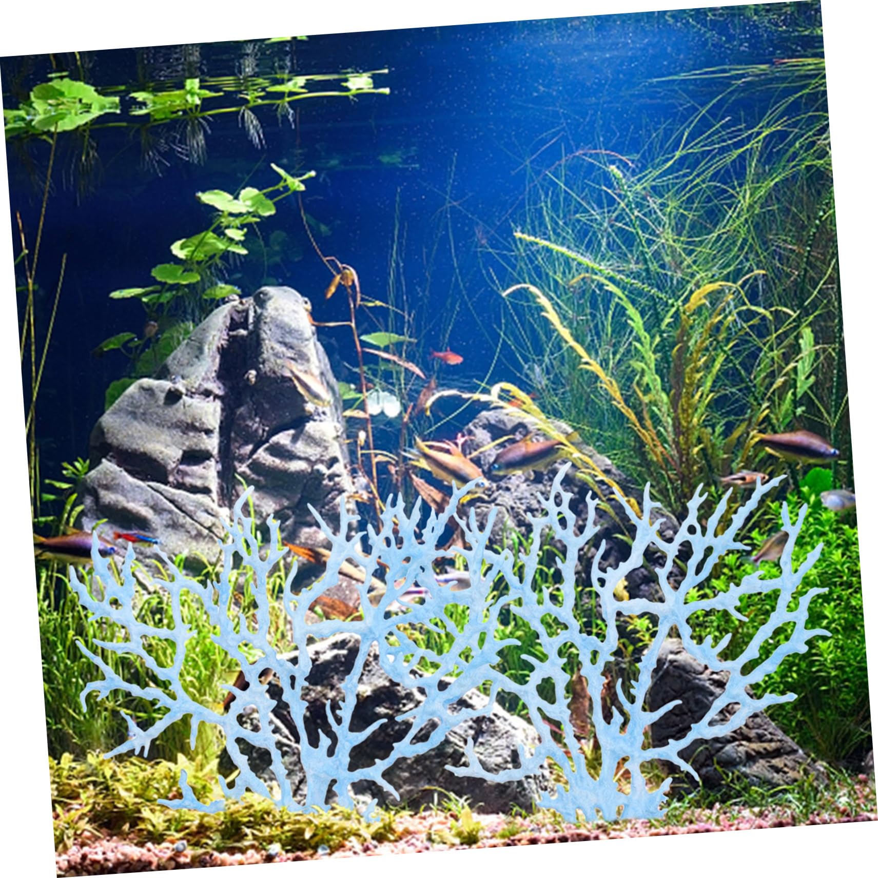 未着用　袋帯　仕立て上がり　珊瑚礁　熱帯魚　海タツノオトシゴ　着物　103b d 未着用袋帯仕立て上がり珊瑚礁熱帯魚海タツノオトシゴ着物103b d