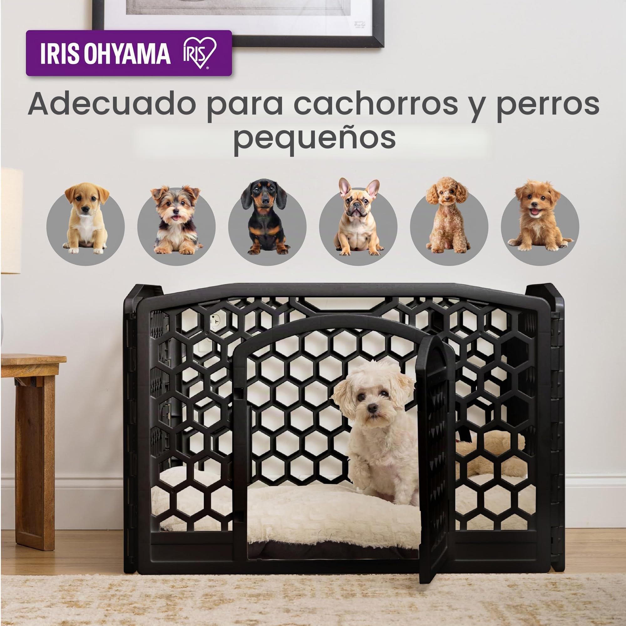 Iris Ohyama, Parque para Perros Interiores, Exterior con 4 Paneles y Puerta Cerrada, H58cm, Negro, Jaula, Enclos, Cierre para Perros, Cachorro, Gato, Conejo, Mascotas, Plástico, CI-584HC