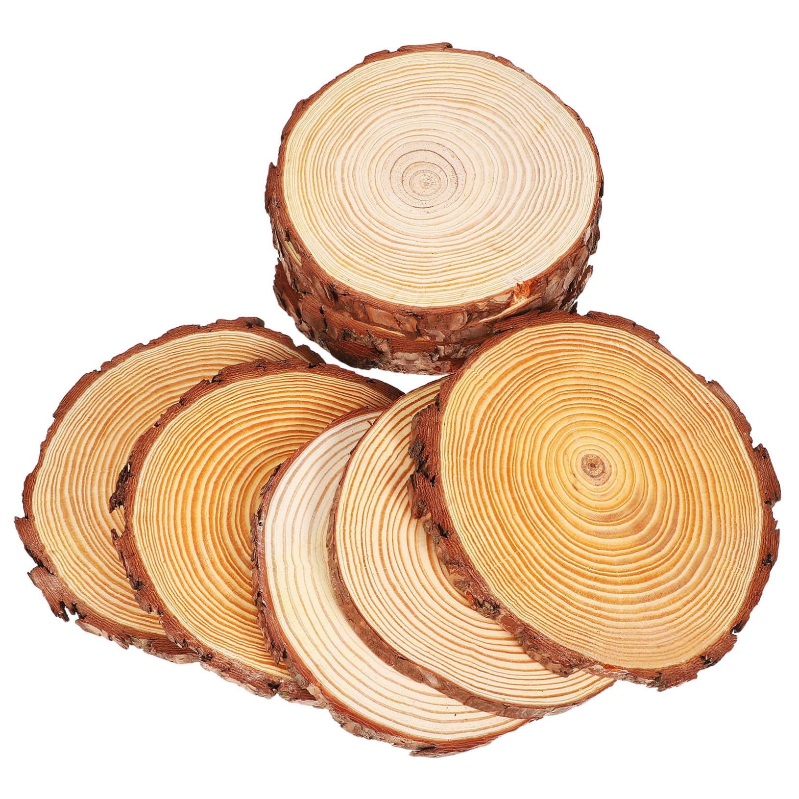 Dischetti di Legno Rotondi 10 Pezzi per Artigianato e Pittura