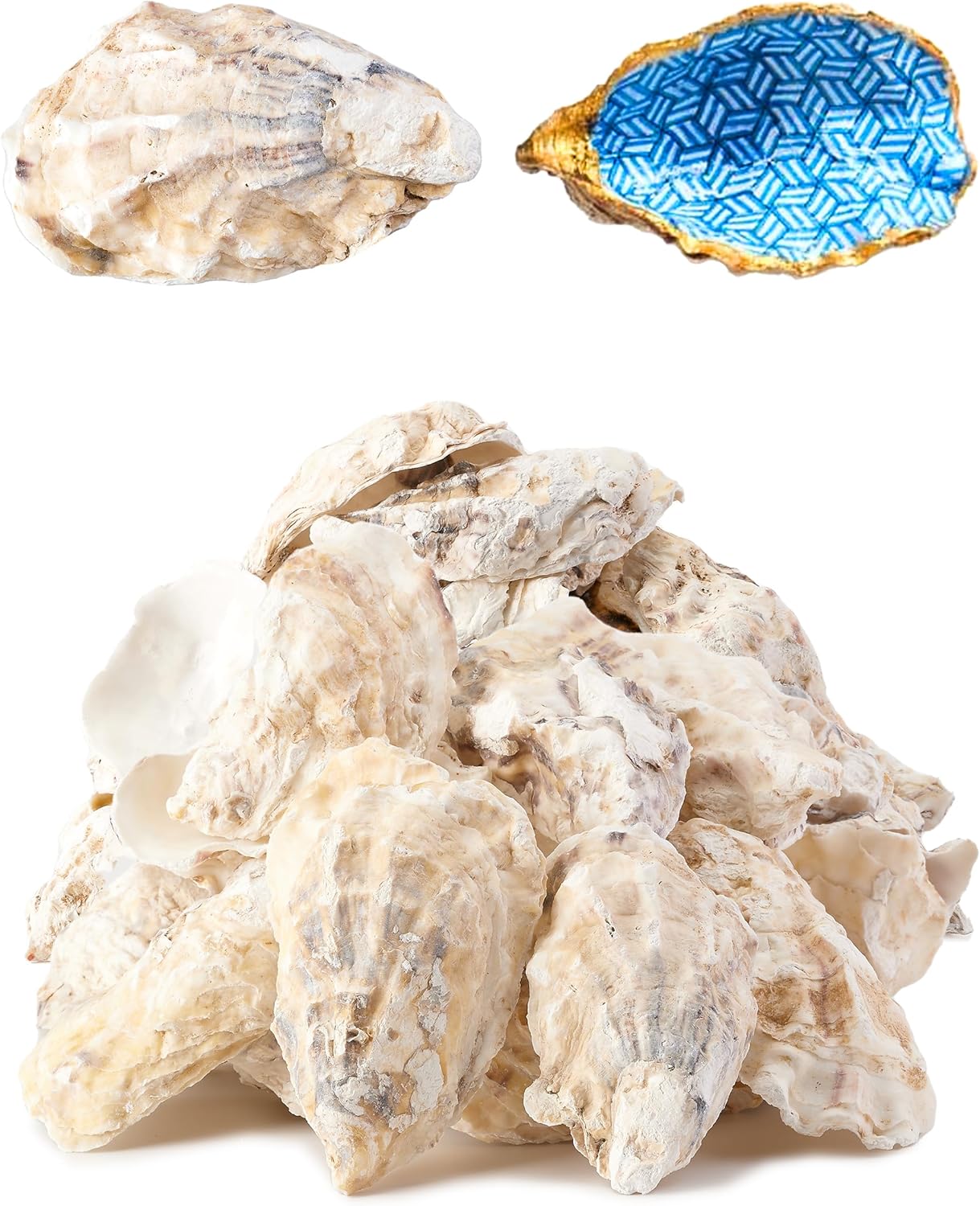 9 Pcs Oyster Shells for Crafts， 3-4 Large Oyster Shell for Crafts，Oyster Shell for Christmas 、Painting、 Beach Themes、 Wedding, Home Shells for Decoration and Sea Shells for Crafting