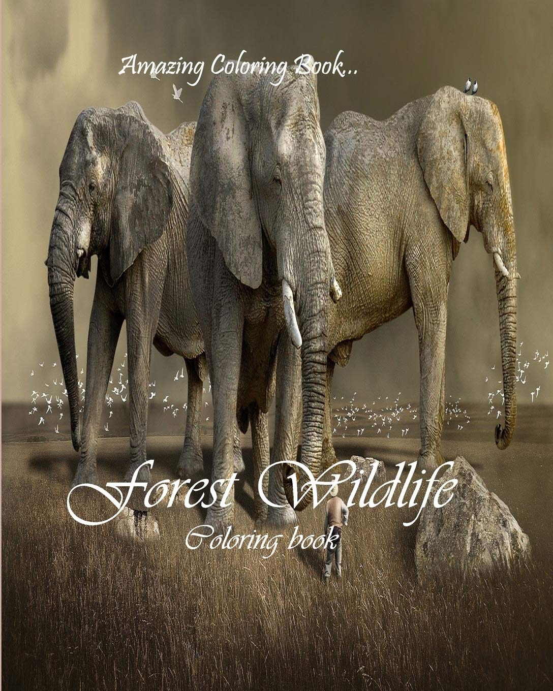 FOREST WILDLIFE: Wildlife Coloring Book