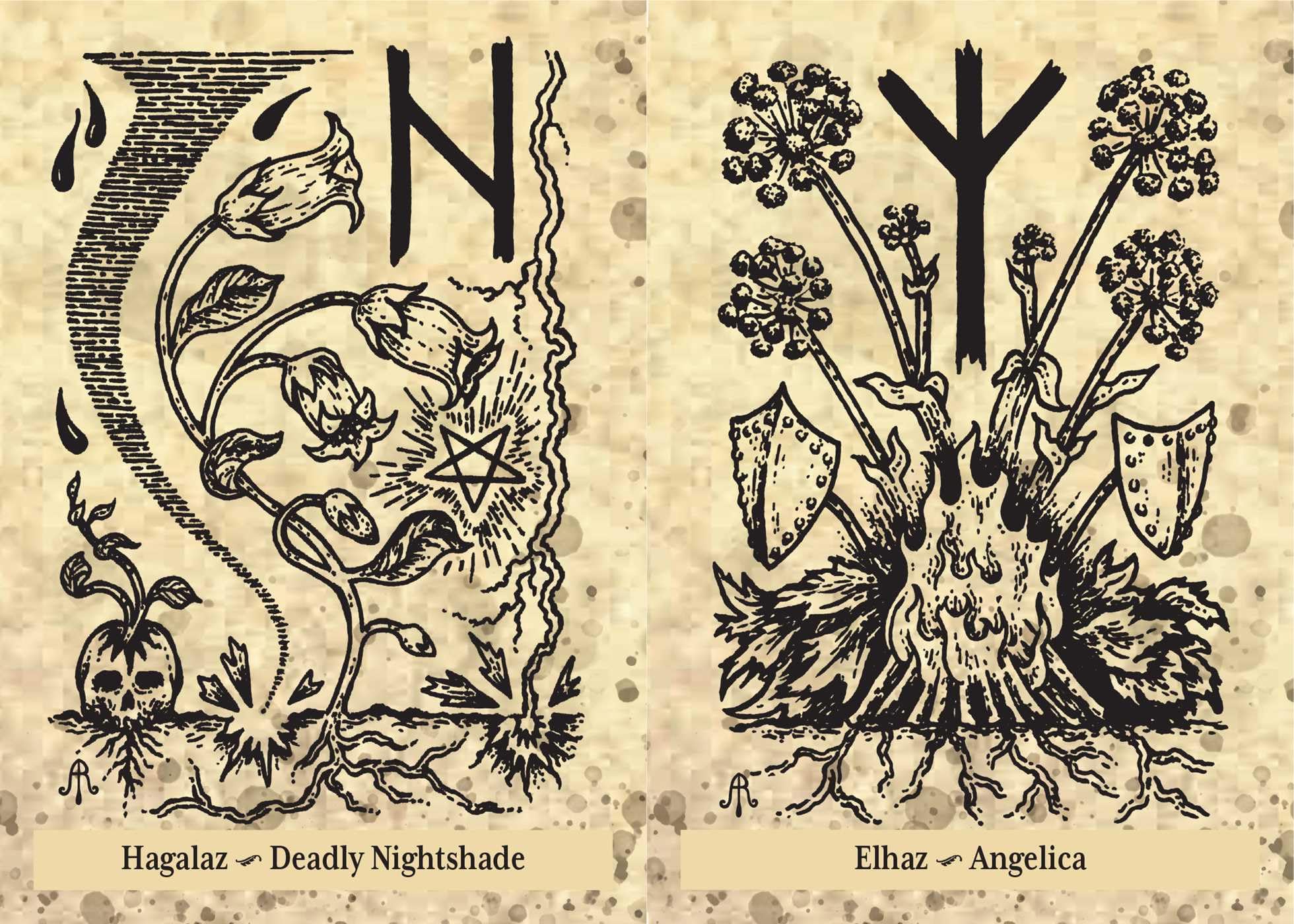 The Runes and Roots Oracle: A 36-Card Deck and Guidebook