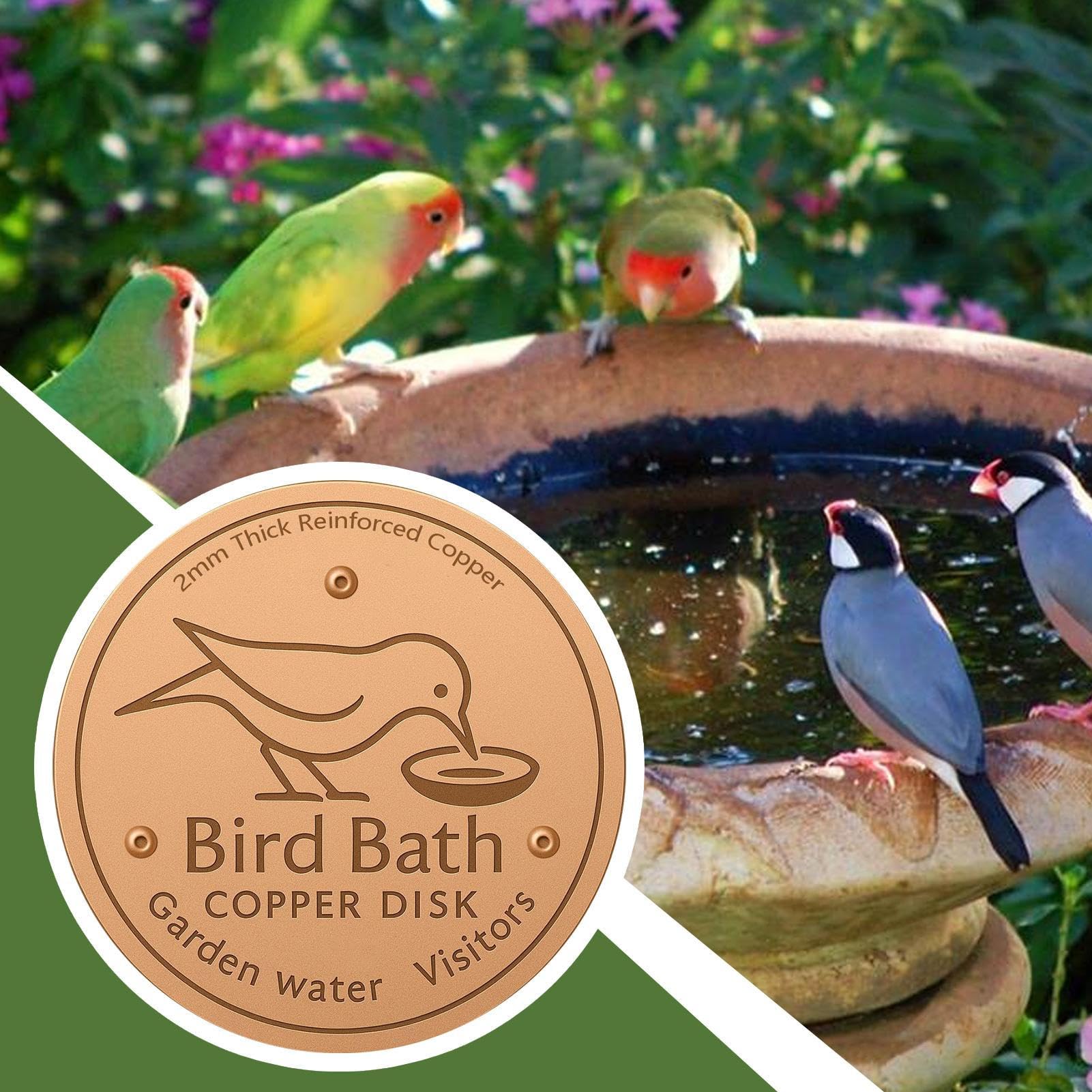 Lusofie Kupferscheibe Für Vogelbad - 10cm Reinkupfer Scheibe Zur Wasserreinigung | Naturliche Algenbekämpfung