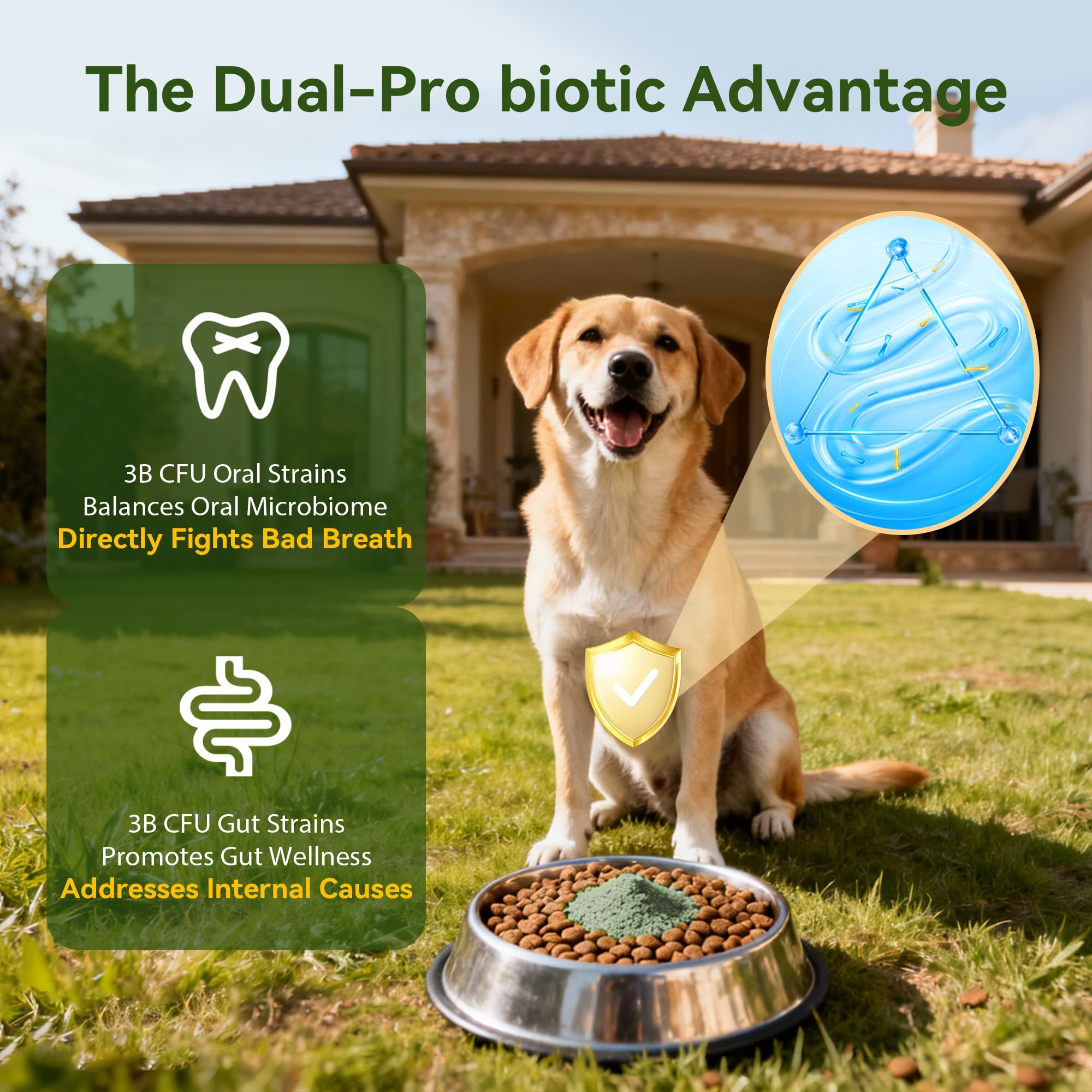 Dog Dental Powder for Plaque and Tartar Support - No Brushing Teeth Cleaning Powder with Probiotics & Natural Kelp | Fresh Breath Dog Oral Care for All Breeds | 1.76oz (50g) - image 6