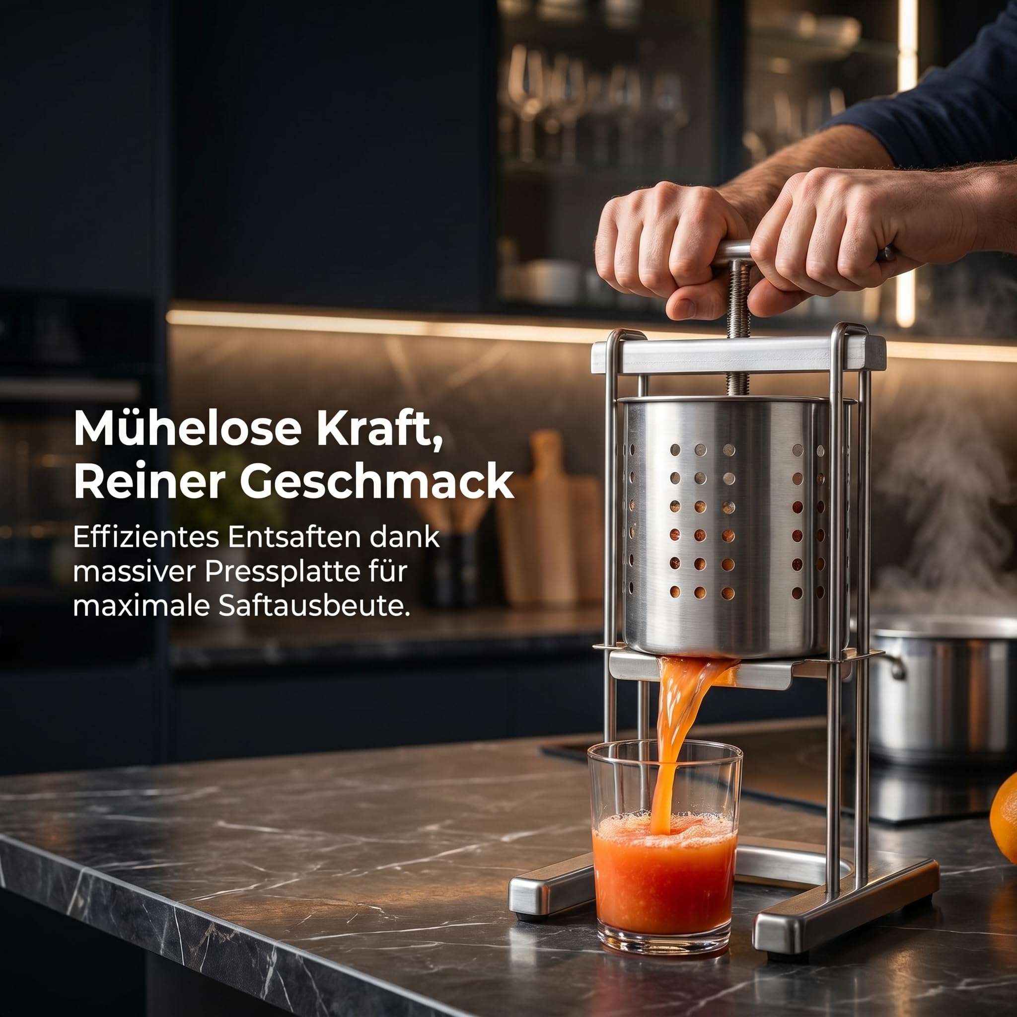Edelstahl Gemüsepresse Manuell, Obstpresse Manuell, Manuelle Spindelpresse Vielseitig, Kartoffelpresse Edelstahl, Einsetzbar Honigpresse für Bienenhalter, Hobbyköche, 2,5L