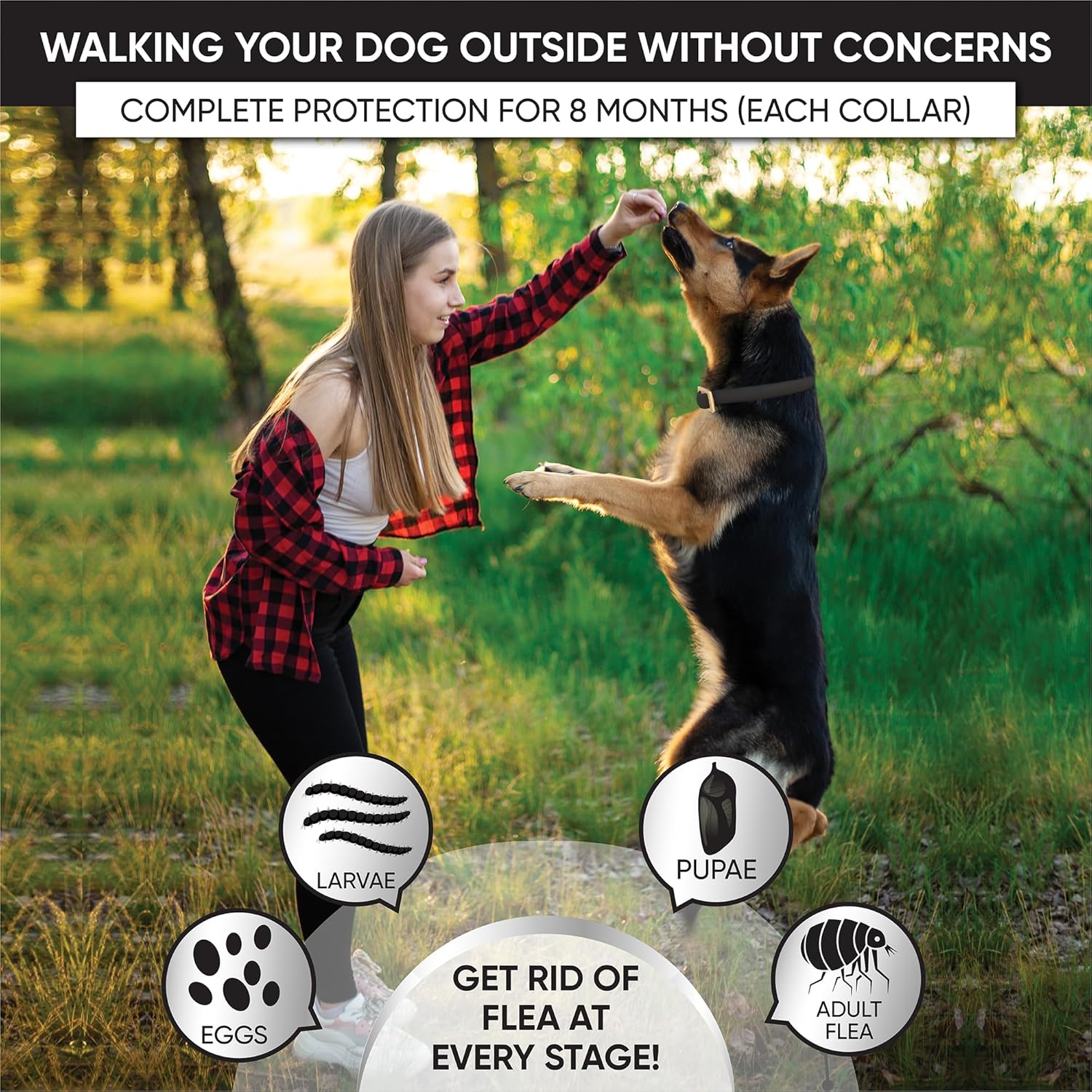 Ultimate Protection: 4 Pack Flea and Tick Collars for Dogs - 8 Months of Peace of Mind!