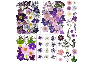 LUCISKY Encapsulated Flowers for Nails