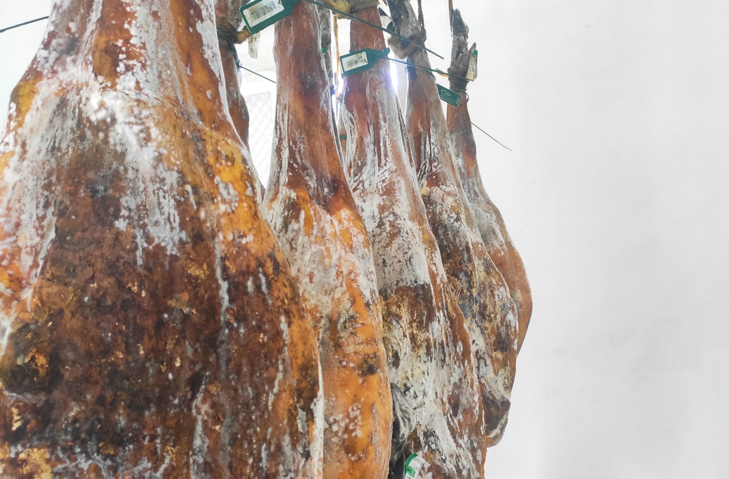 JAMÓN DE EXTREMADURA | 8 KG | 15 €/KG | HAM JAMBON PROSCIUTTO SCHINKEN