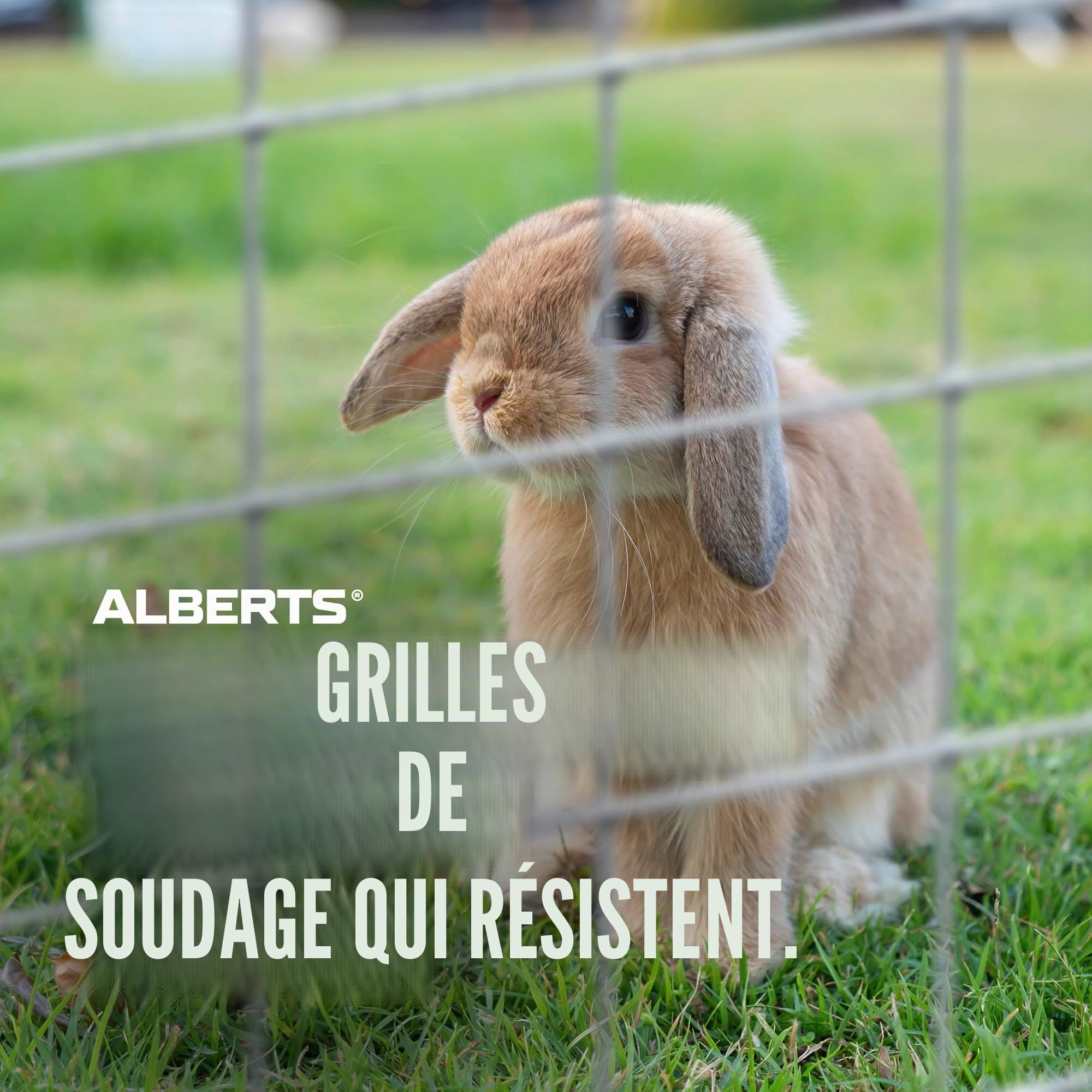 Alberts 614478 Grille soudée | différentes hauteurs - en option dans différentes couleurs | galvanisée | mailles 12,7 x 12,7 mm | hauteur 100 cm | longueur 5 m
