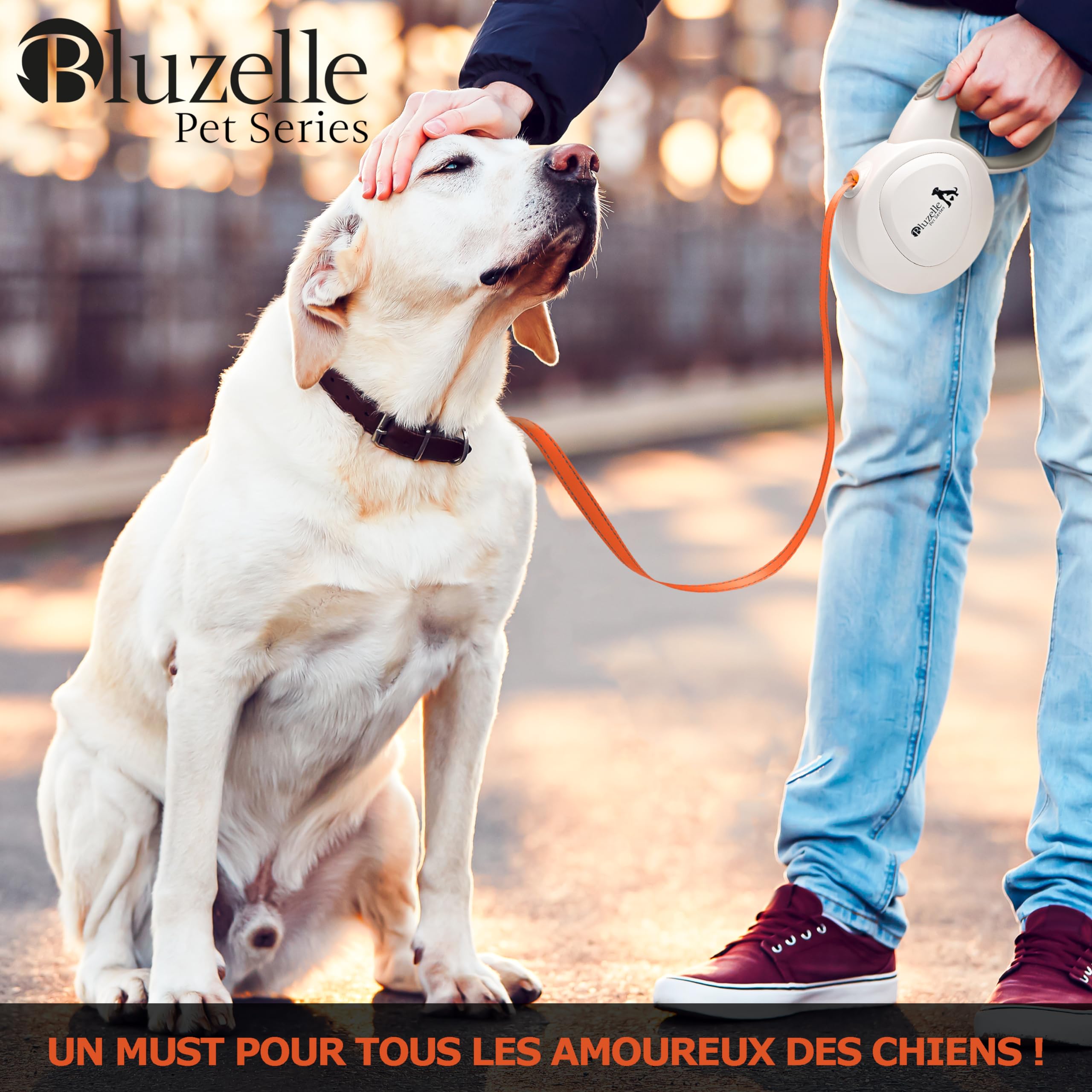 Laisse pour Chiens Grands jusqu'à 50kg, 8m Longue Longe Chien, Enrouleur de Sangle avec Orange Bande Lumineux et Mousqueton 360° Métal, Frein de Rétraction, Poignée Ergonomique, Blanc