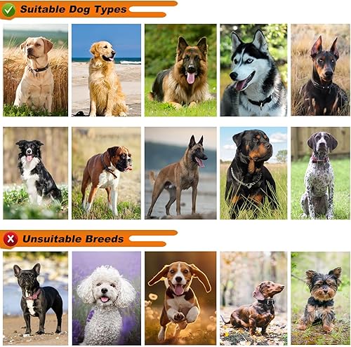 Miniatura 8 de Arnés táctico para perro, 2 correas ligeras con hebilla de metal resistente para perros medianos y extragrandes con 6 parches para perros, arnés