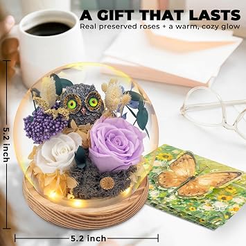 Preserved Flowers Roses Gift for Women, Forever Real Roses in Glass Dome with Owl Decor, Owl Gifts for Women, Birthday Gifts for Mom, Wife, Grandma, Flowers for Delivery Prime