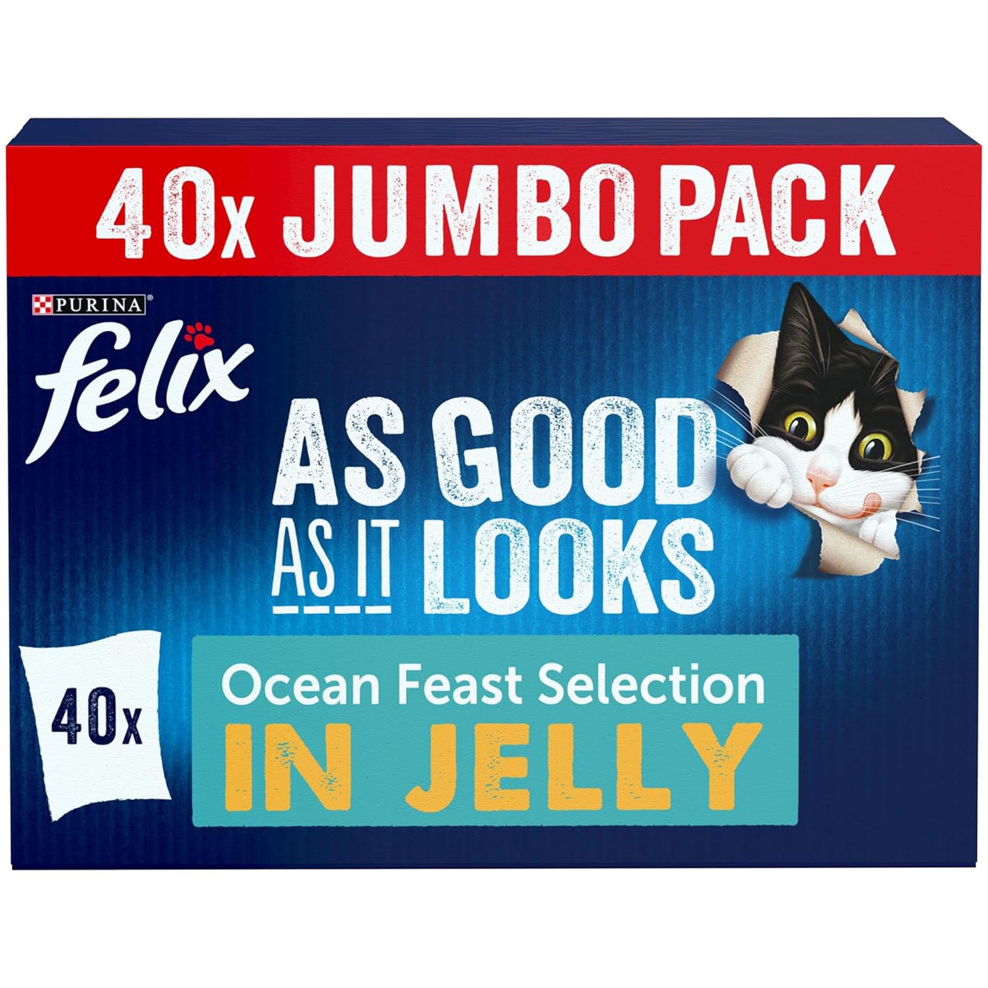 FELIX As Good As it Looks Ocean Feasts Wet Cat Food 40x85g