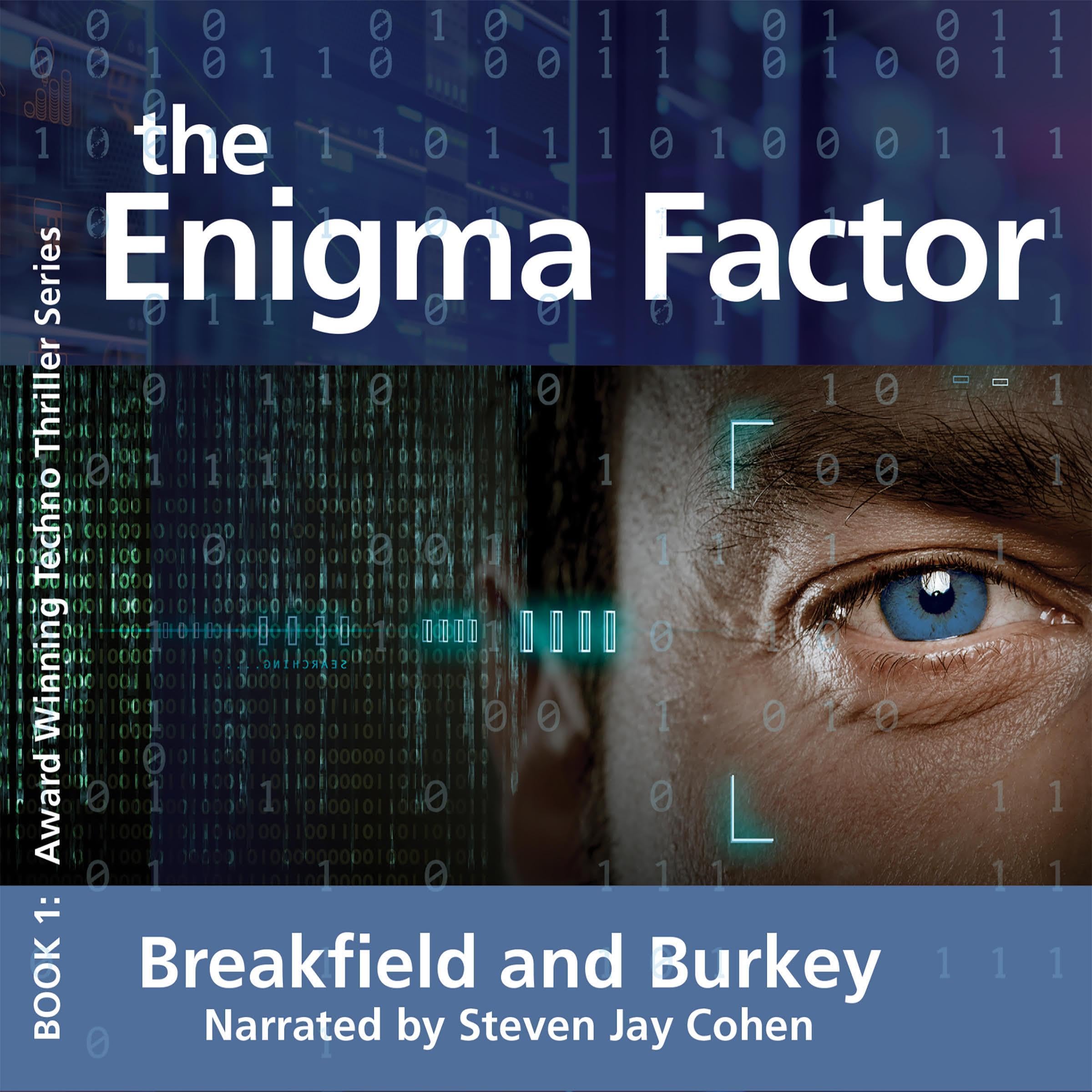 Cover art for The Enigma Factor