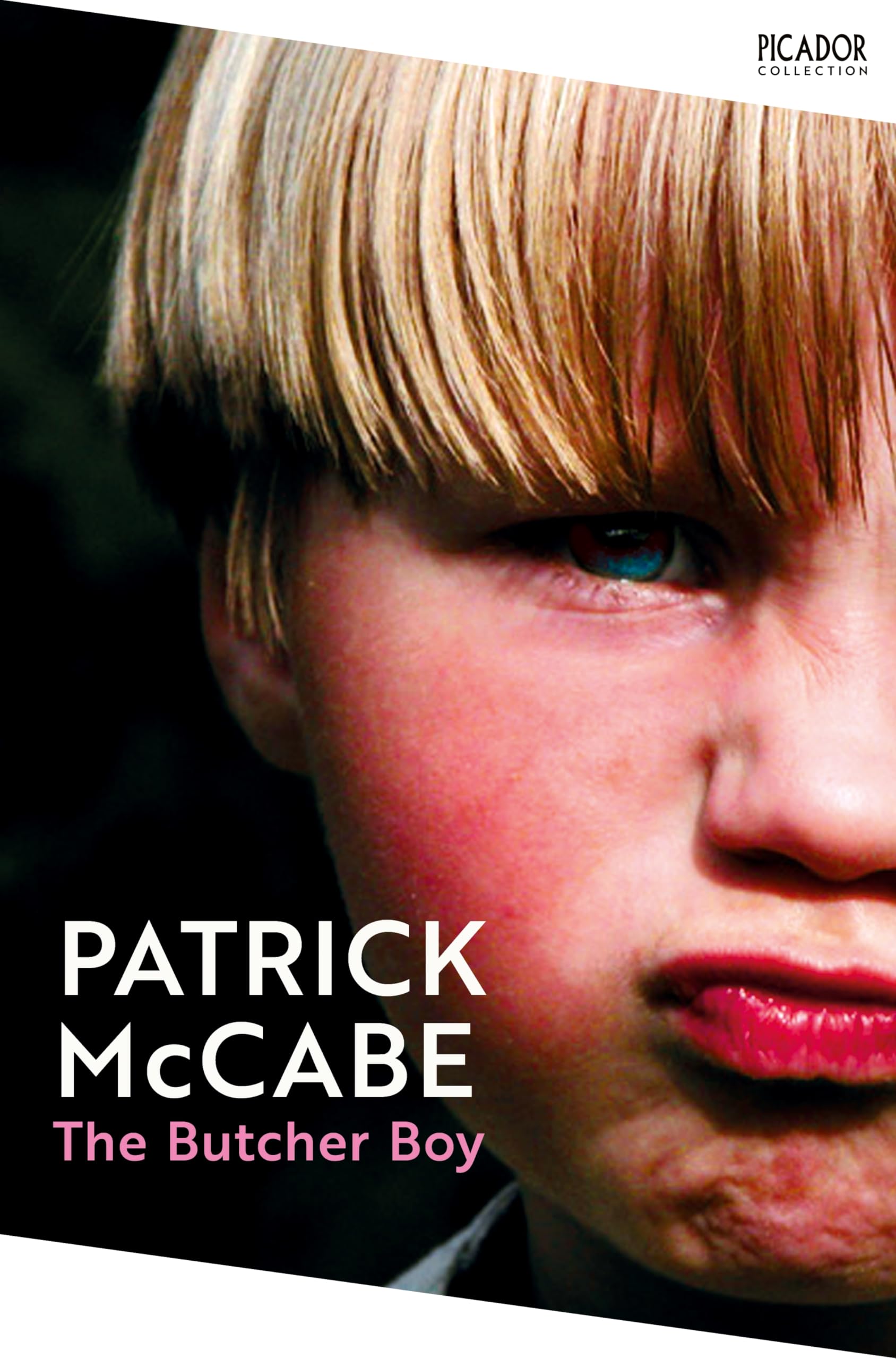 The Butcher Boy (Picador Collection)