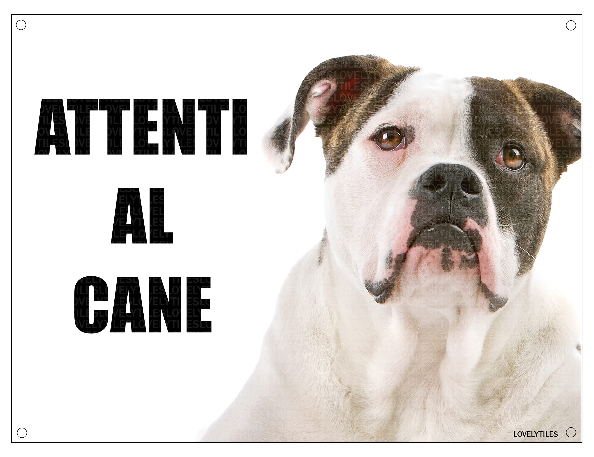 Cartello 'Attenti Al Cane' Bulldog Francese - Targa Metallo 20x30cm Personalizzabile - Foto 5