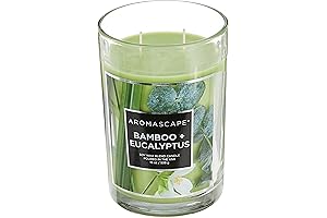 PT41900 2-Wick Scented Jar Candle: Bamboo & Eucalyptus