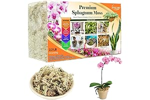 Legigo Premium Sphagnum Moss for Flourishing Plants