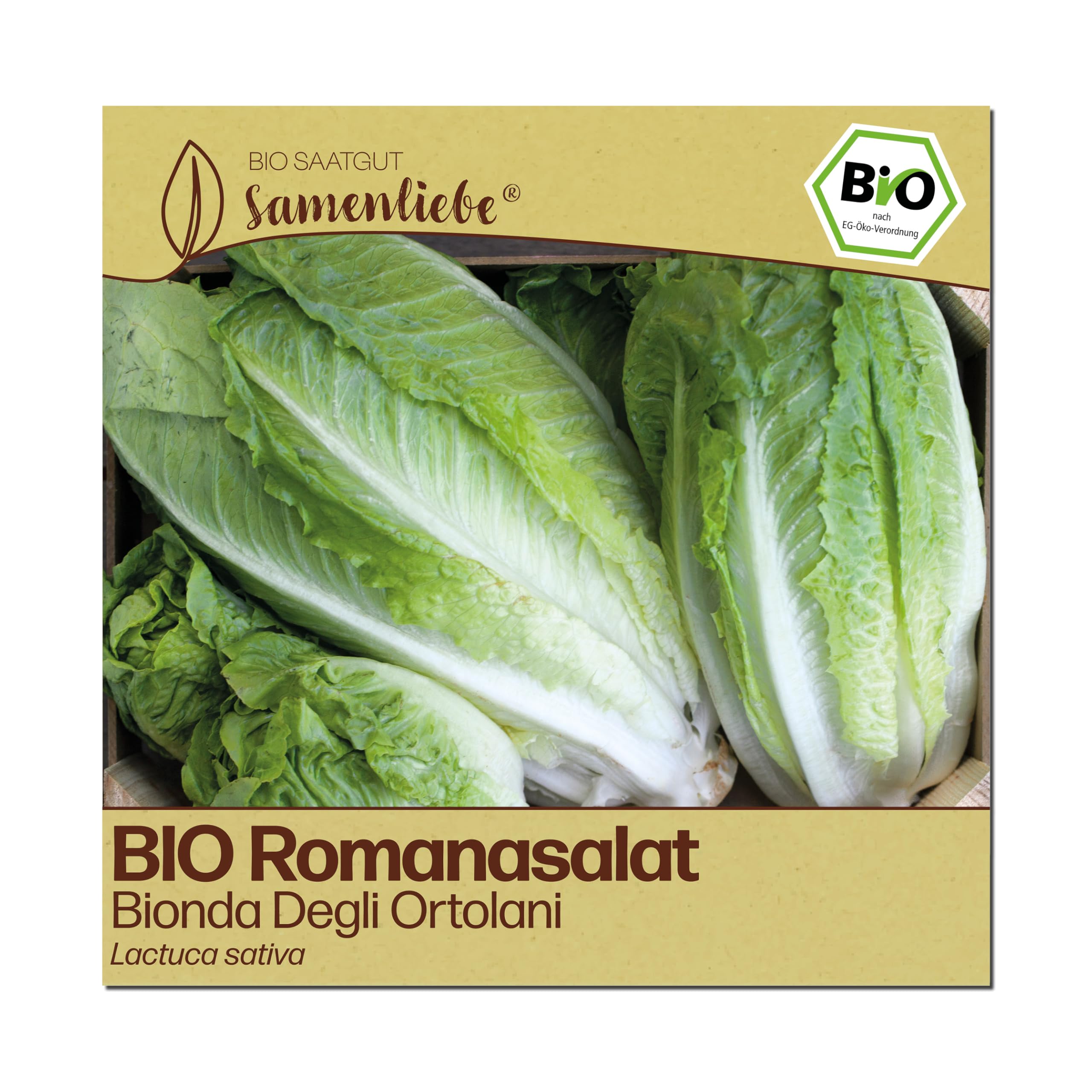 Samenliebe BIO Salat Samen | Romanasalat Bionda Degli Ortolani - italienischer Römersalat - samenfestes BIO Saatgut