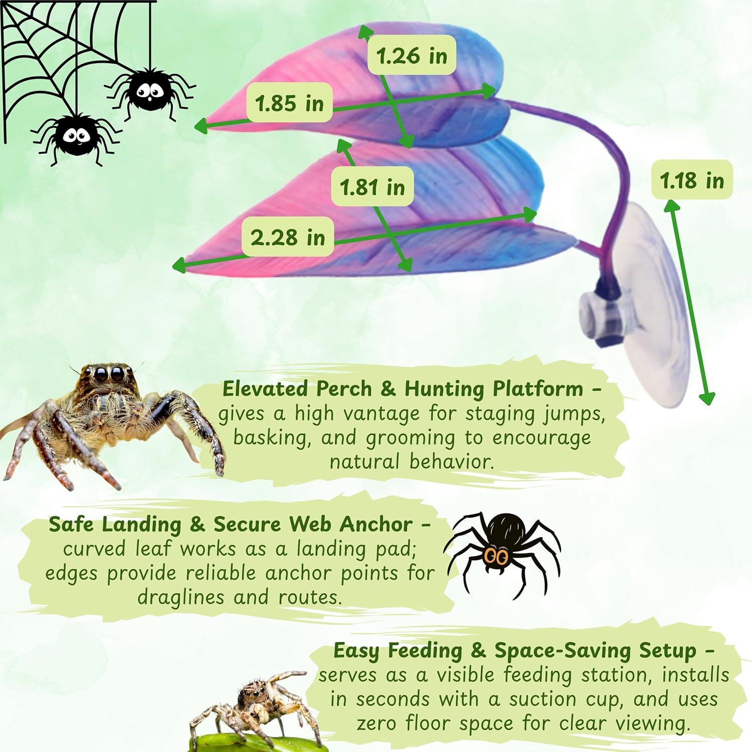 Jumping Spider Hide with Rope Bridge & Leaf Ledge, Magnetic Mount Hideout for Small Enclosures, Tarantula/Jumping Spider Habitat Accessories for Climbing, Rest & Viewing (Climbing) image 2