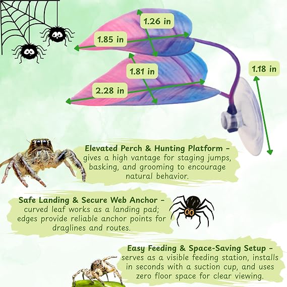 Jumping Spider Hide with Rope Bridge & Leaf Ledge, Magnetic Mount Hideout for Small Enclosures, Tarantula/Jumping Spider Habitat Accessories for Climbing, Rest & Viewing (Climbing)