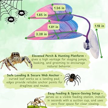 Jumping Spider Hide with Rope Bridge & Leaf Ledge, Magnetic Mount Hideout for Small Enclosures, Tarantula/Jumping Spider Habitat Accessories for Climbing, Rest & Viewing (Climbing)