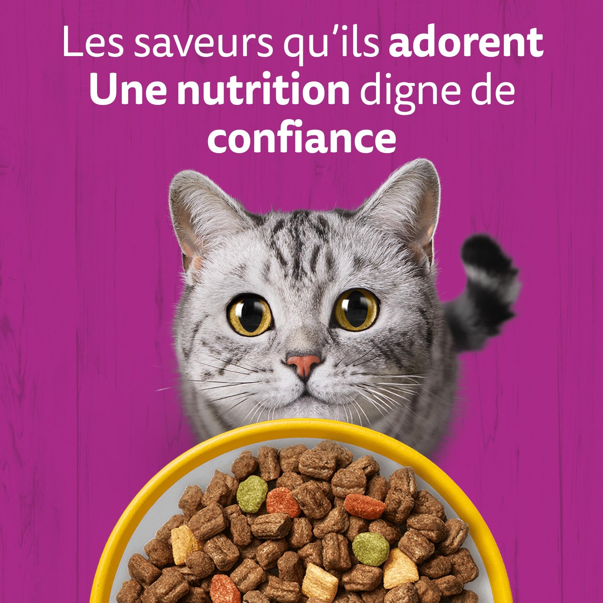 WHISKAS Croquettes pour chat adulte 7 kg au poulet