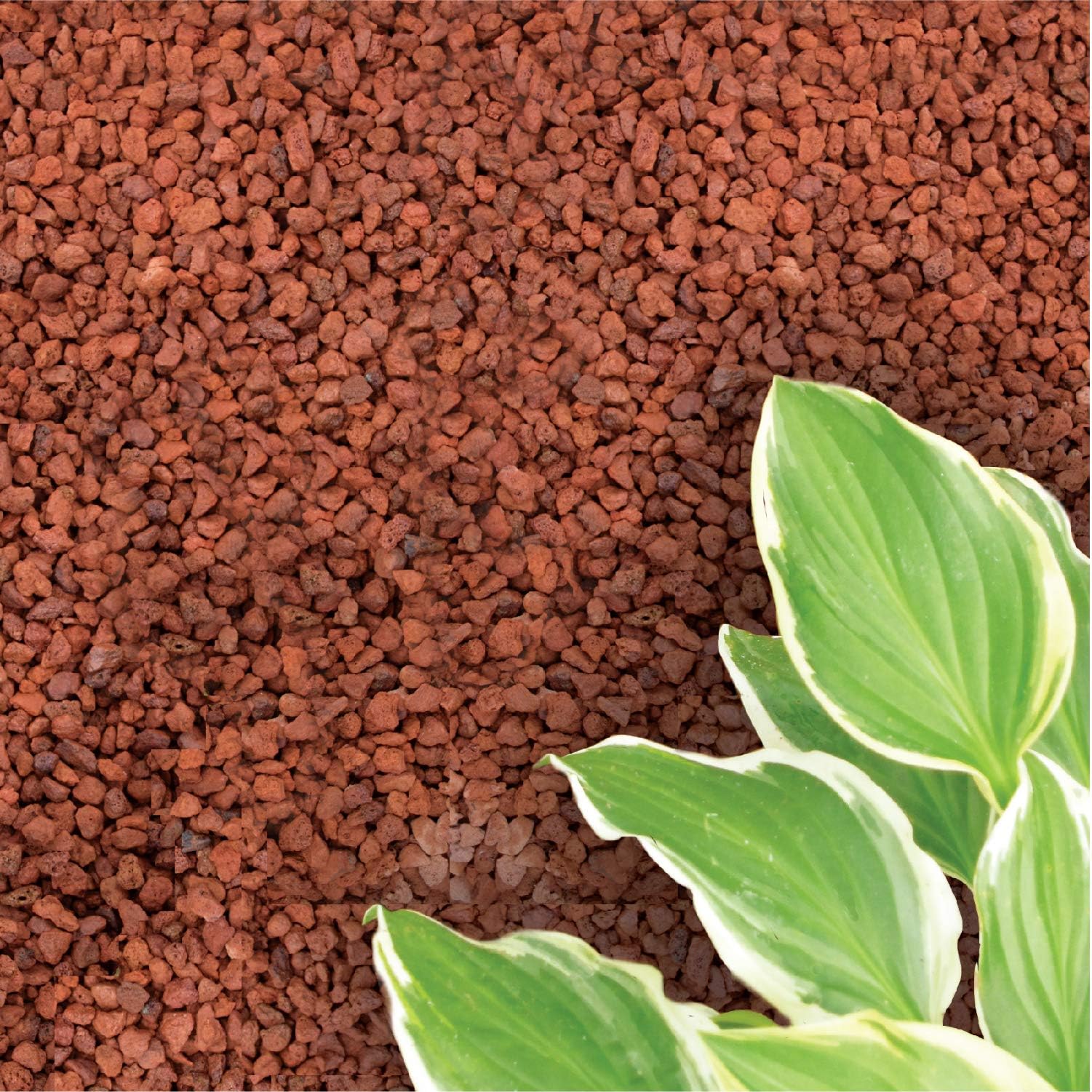 5LB Red Lava Rock - Quarter (1/4" - 3/8")