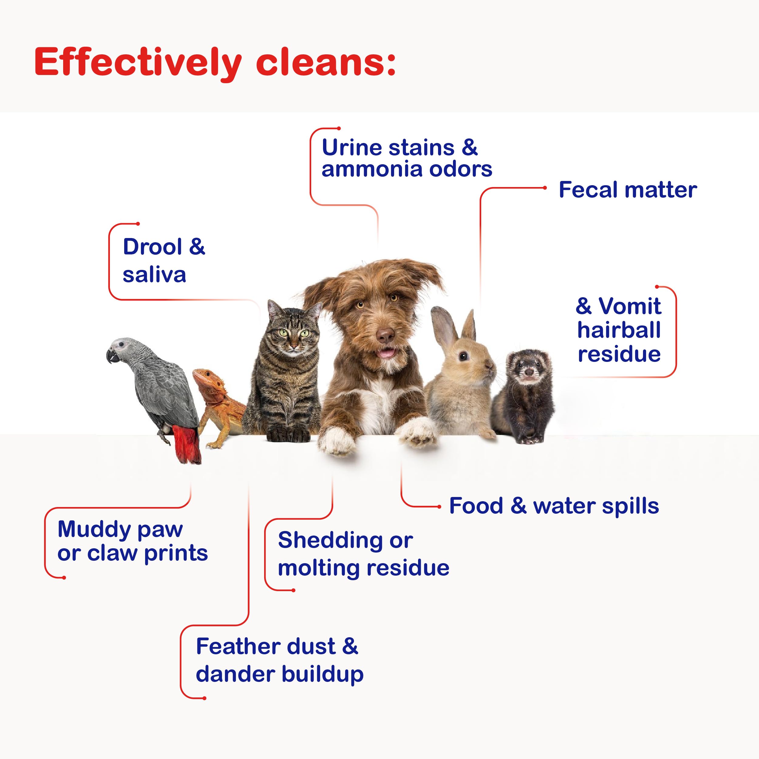 Freshnaps Pet Mess Wipes – Odor & Stain Remover for Cages, Glass Containers & Pet Homes | Tough on Messes, Gentle on Surfaces | Ideal for Urine, Fecal Matter & Other Pet-Related Messes