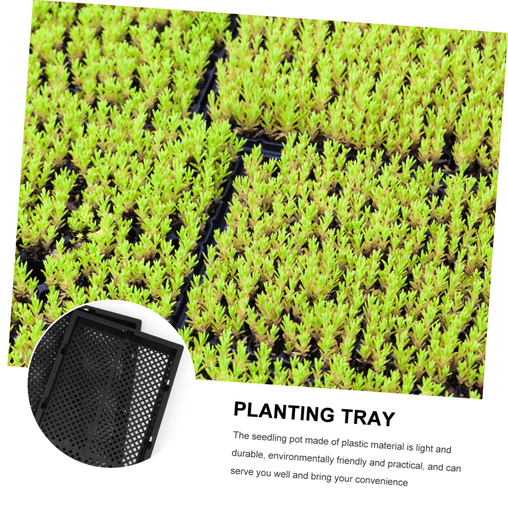 5pièces Plateau De Culture Hydroponique Lot de Trays De Jardinière Contenants De Plantation Pratiques pour Germination De Plantes Et Cultures à Domicile