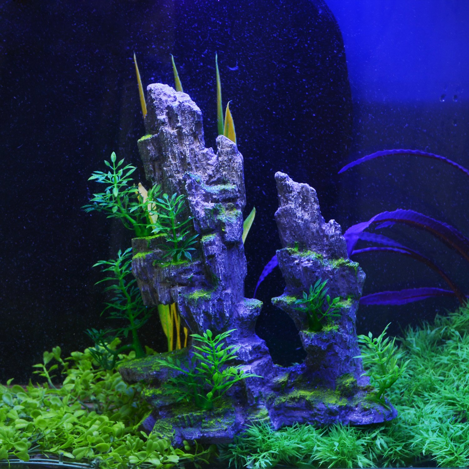 View 6