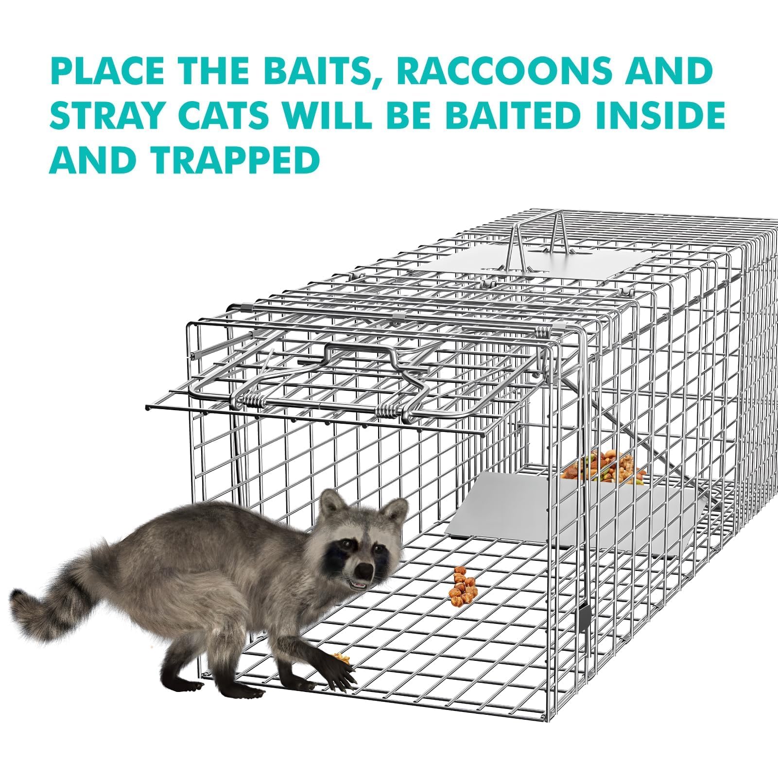 Live Animal Cage Trap, 31