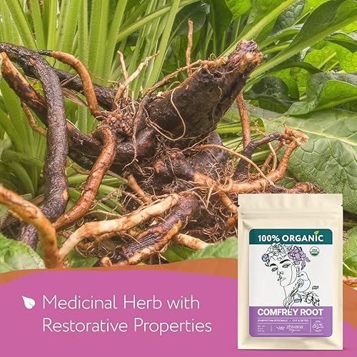 Miniatura 2 de Raíz de Consuelda Orgánica (113 g) para la piel, huesos, músculos y ligamentos - Hierba de Consuelda (Symphytum Officinale) - Consuelda, Comfrey,
