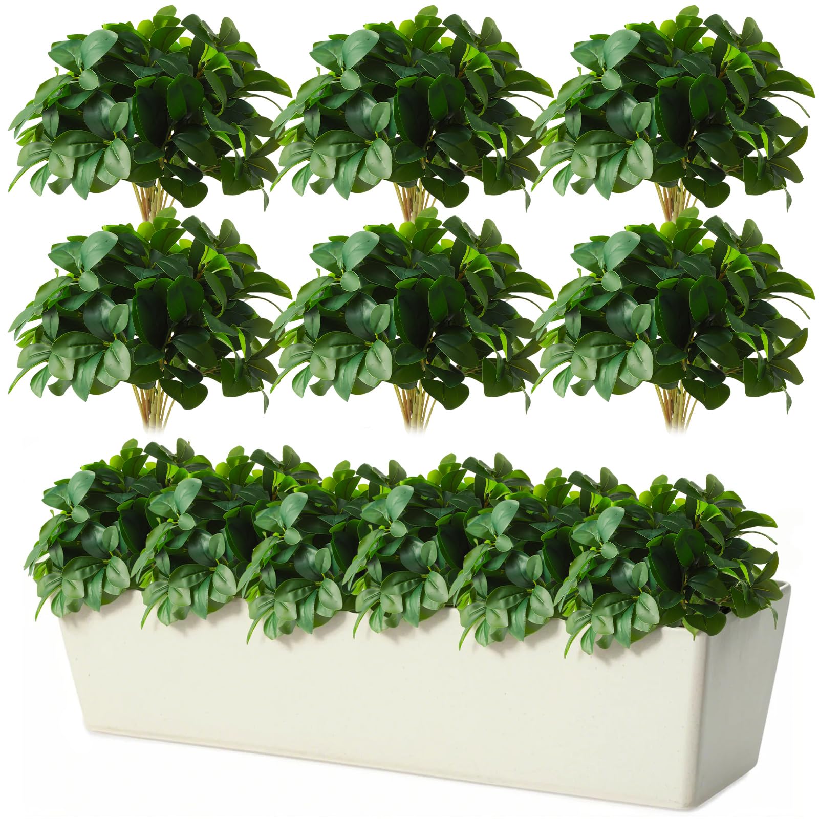 product_img5