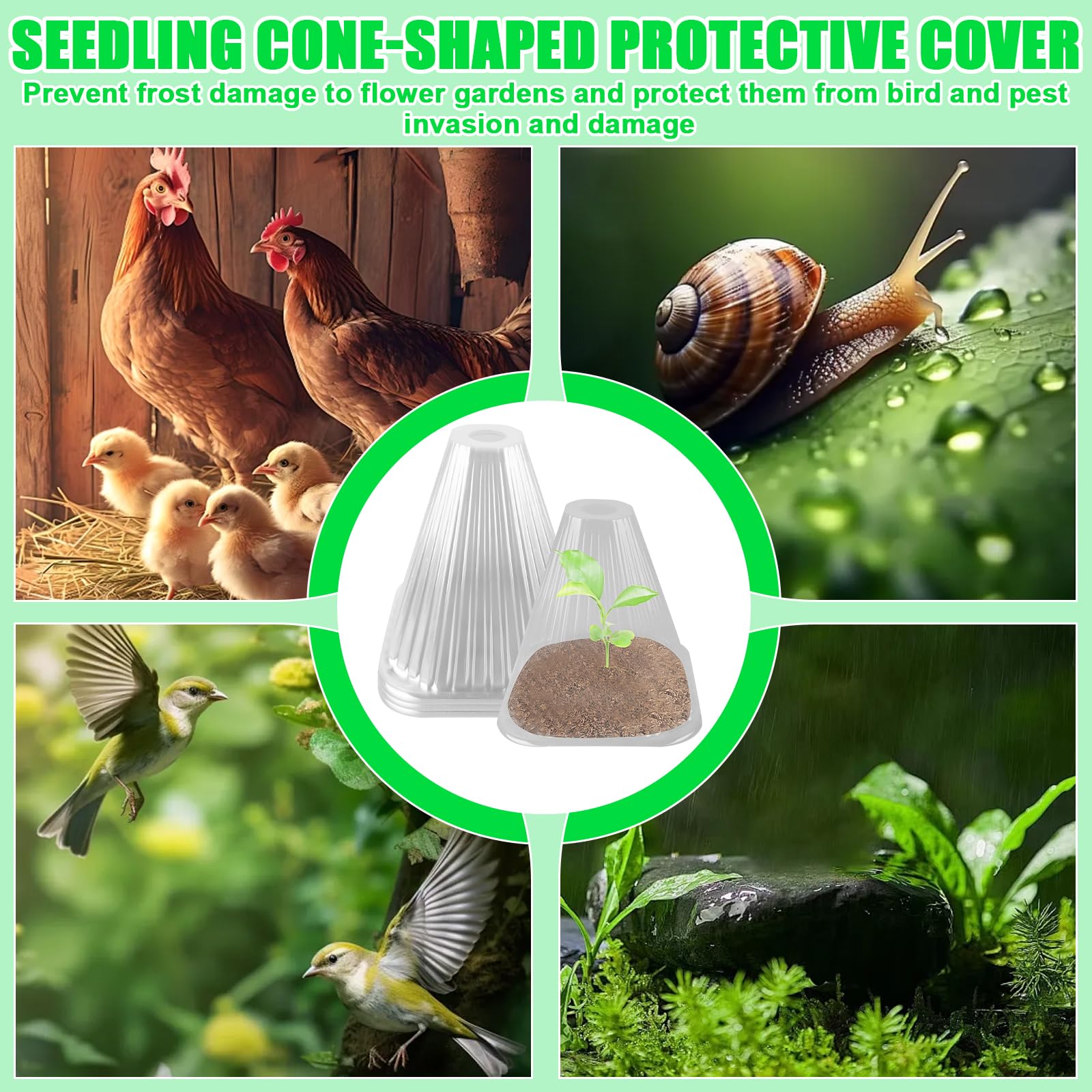 BAIFULAI Lot de 30 chapeaux de plantes transparents Ø 19 cm réutilisables protection contre oiseaux limaces gel