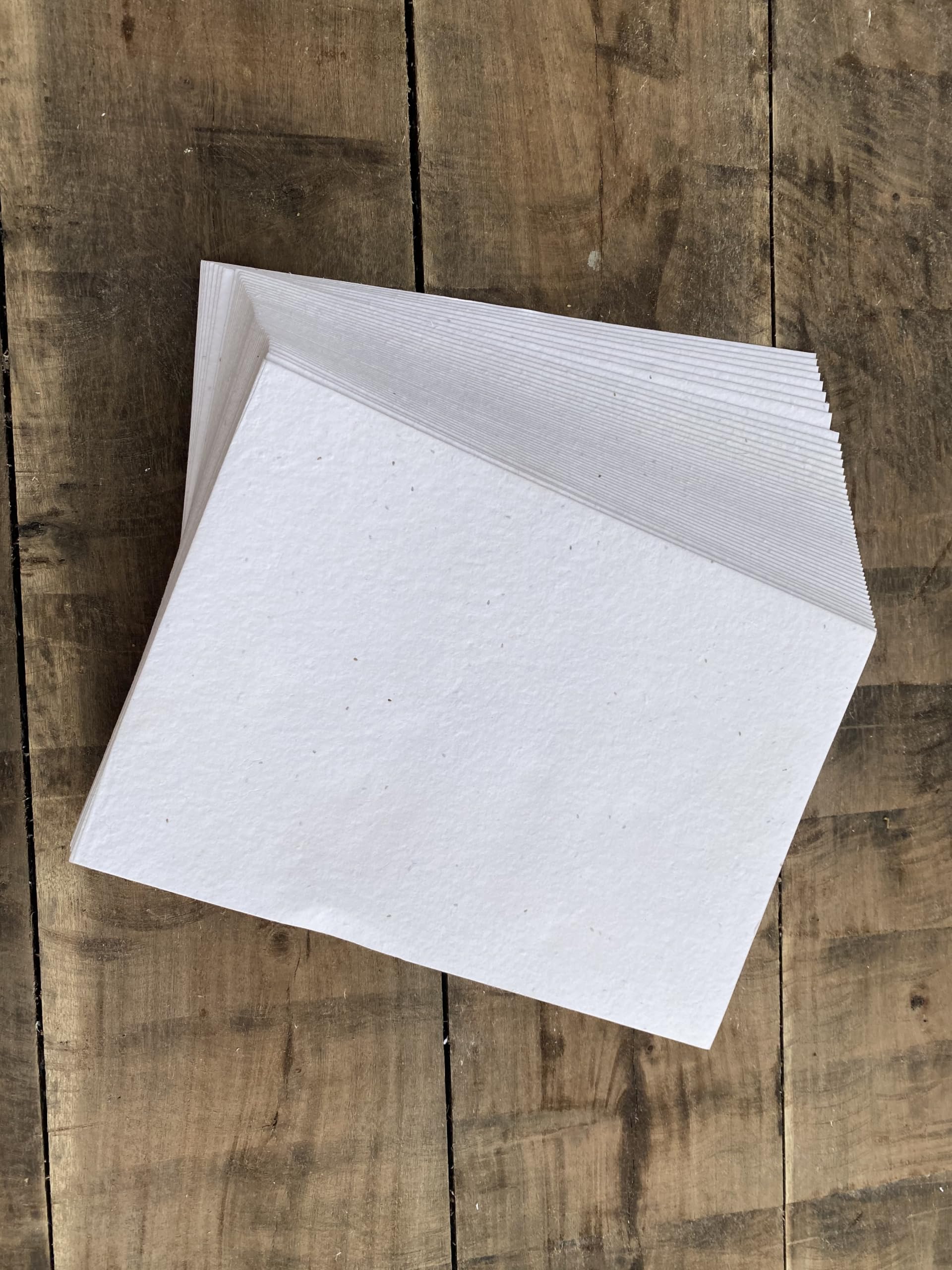 Wanderings Carta Piantabile con Semi di Fiori Selvatici A6 10,5x15 cm - 50 Fogli - Carta Fatta a Mano Riciclata 250 GSM - Biglietto con Semi da Piantare per Scrittura, Schizzi, Idee Regalo Ecologiche