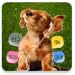 BNA Talk To Your Dog
