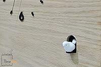 Vista 5 de Modern Cuckoo Bird Time Box Clock - White Chalk Laser Engrave - Wall Mount Pendulum Clock - Deer Head - Forest Animal - Cabin Decor - Antler