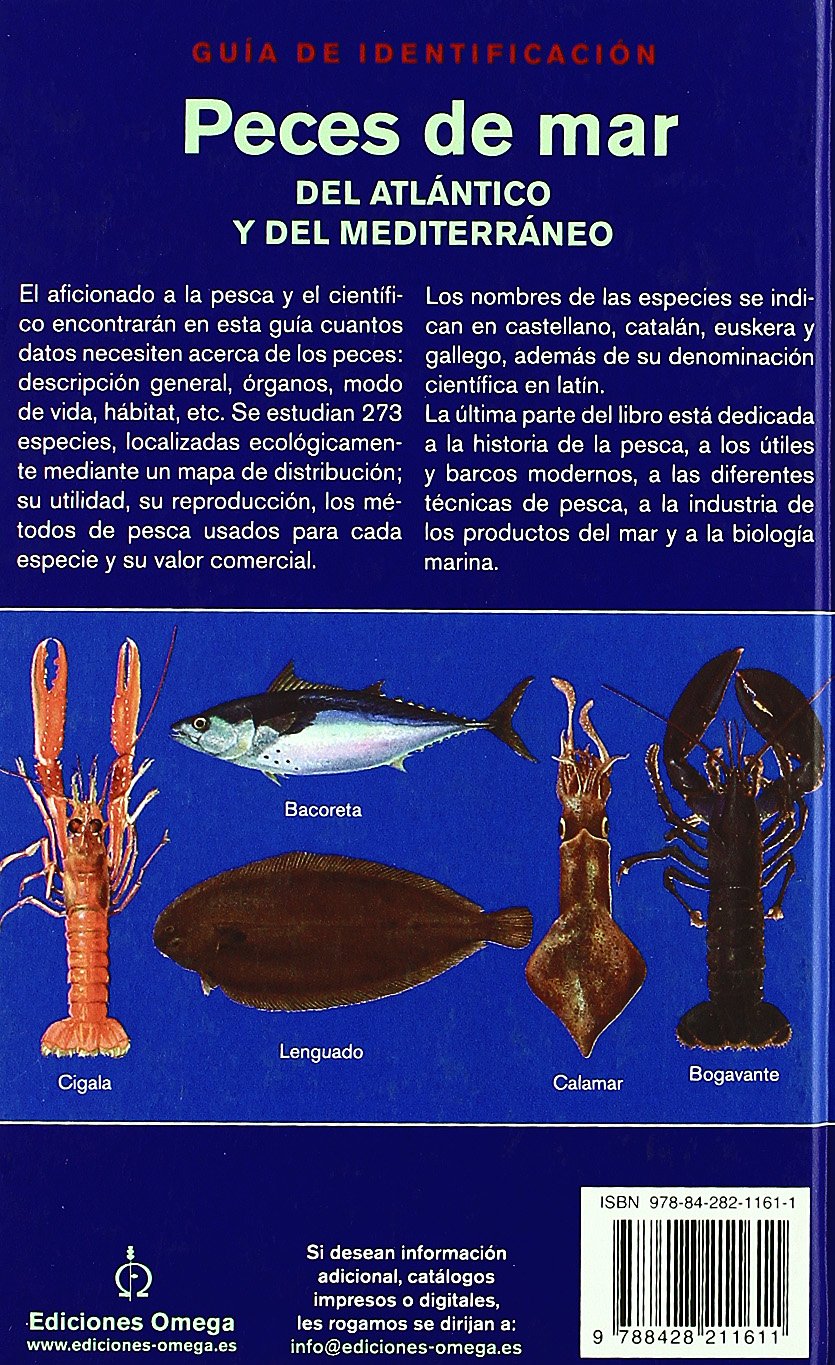 PECES DE MAR. GUIA DE IDENTIFICACION (GUIAS DEL NATURALISTA-PECES-MOLUSCOS-BIOLOGIA MARINA)
