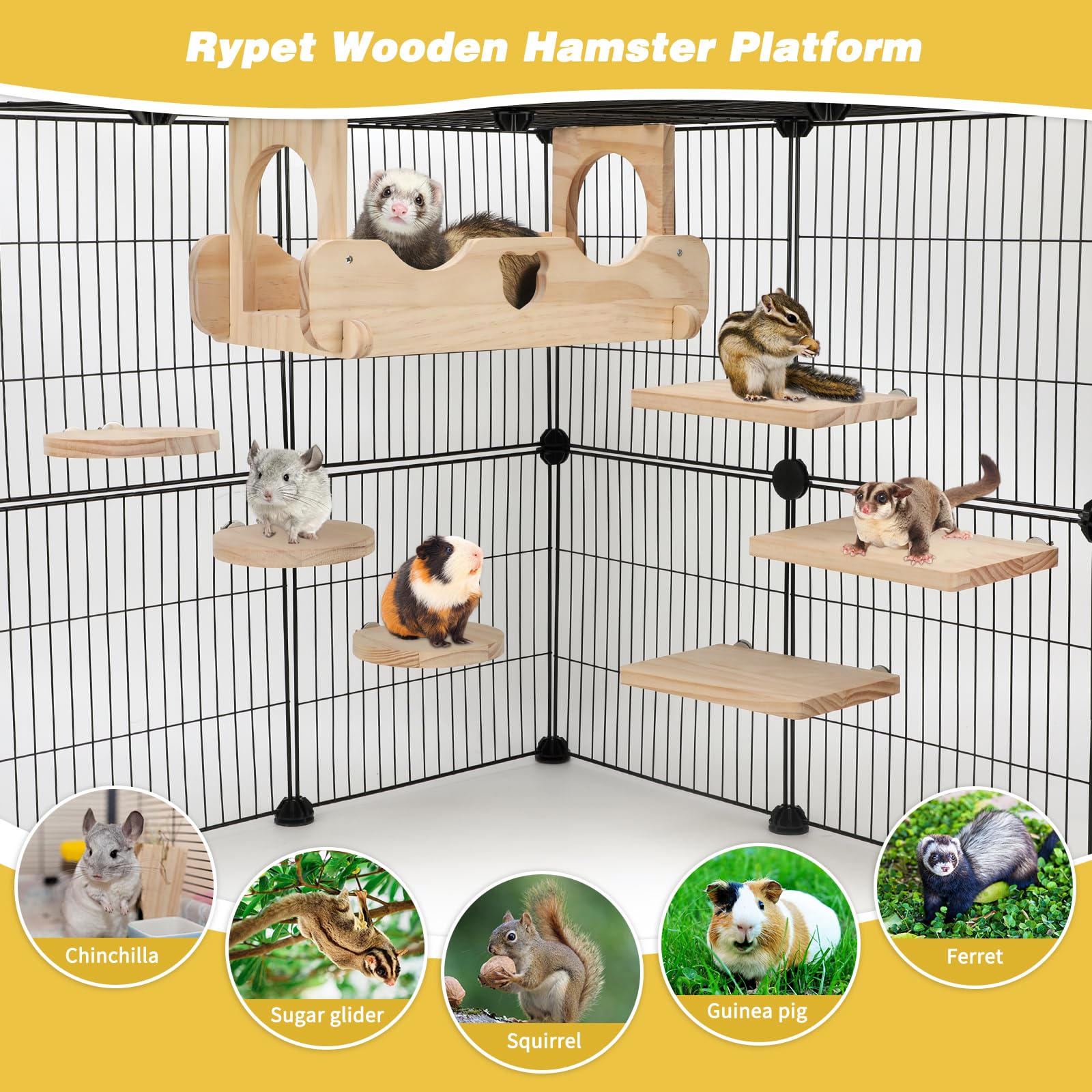 Rypet Chinchilla-Leisten und Plattformen aus Holz